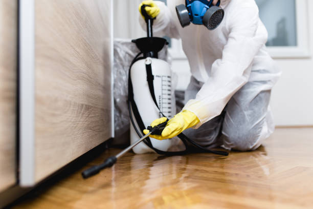 Reliable Dry Ridge, OH Pest Control Solutions