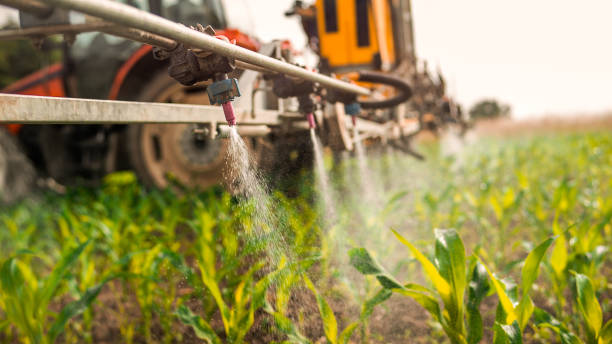 Best Commercial Pest Control Services  in Dry Ridge, OH